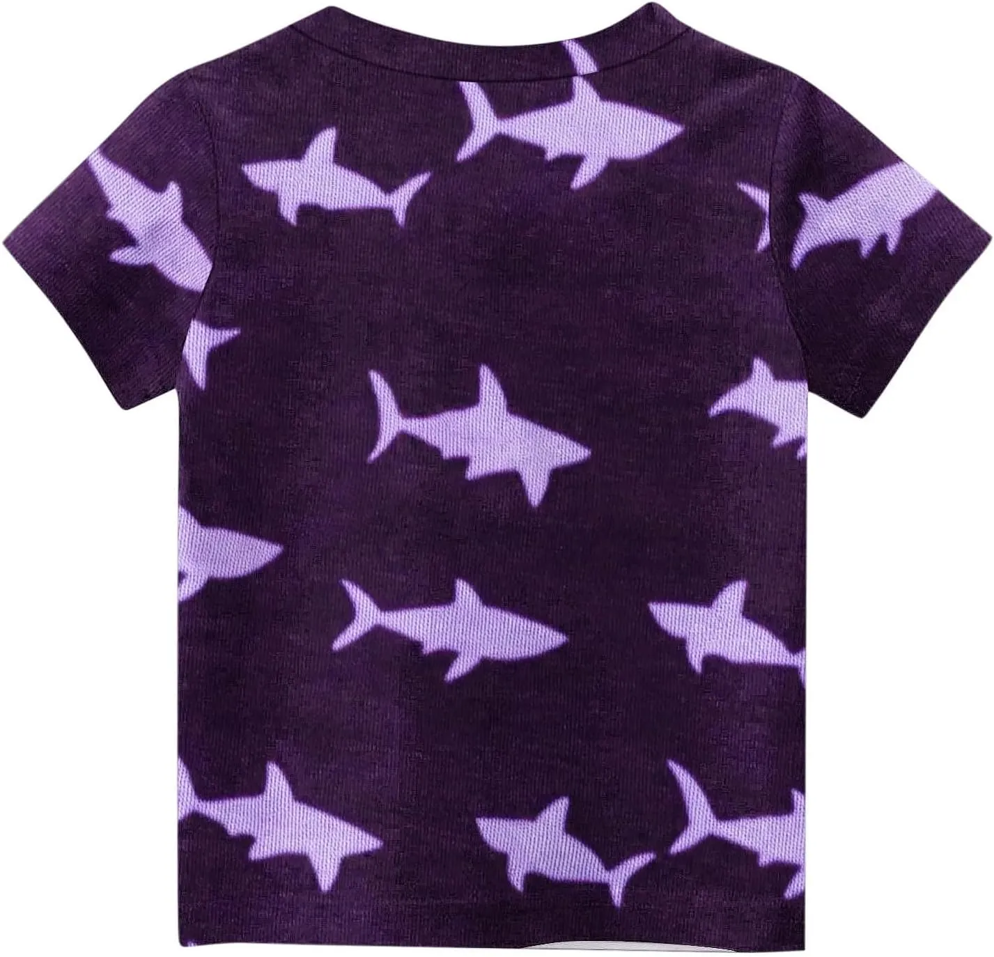 Boys Summer Tops Cute Graphic Print Casual T Shirt Toddler Boys Crew Neck Short Sleeve Shirts for 18 Months-10 Years